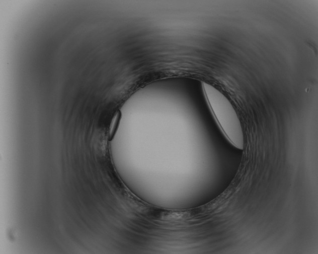 X0000093470129200710121019