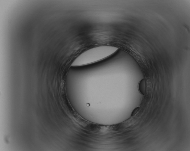 X0000093470130200710121019