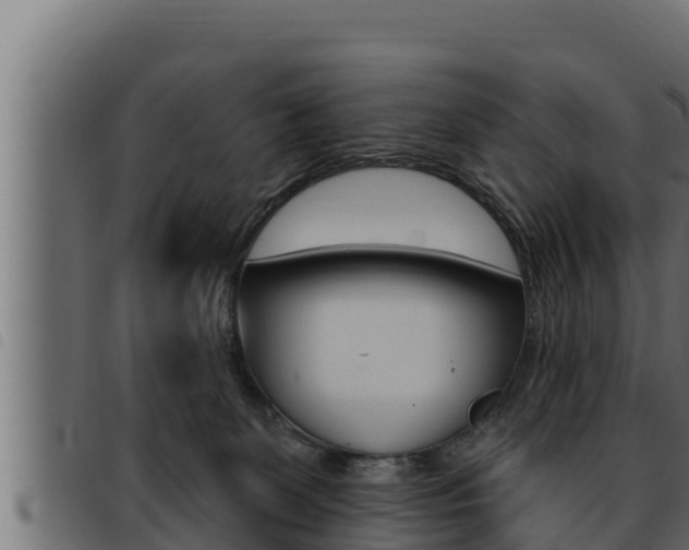 X0000093470131200710121019