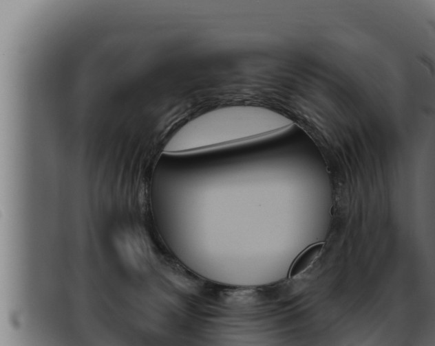 X0000093470132200710121019