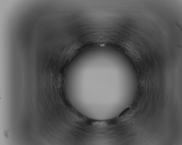 X0000093470133200710121019