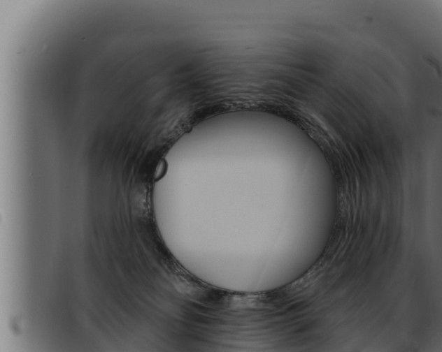 X0000093470134200710121019