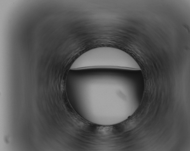 X0000093470135200710121019
