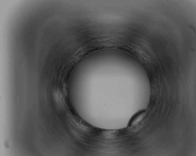 X0000093470136200710121019