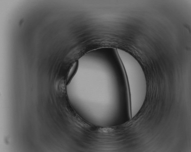 X0000093470137200710121019
