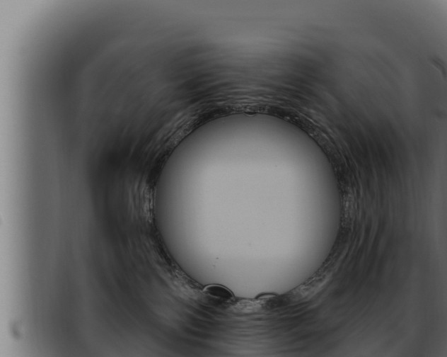X0000093470138200710121018