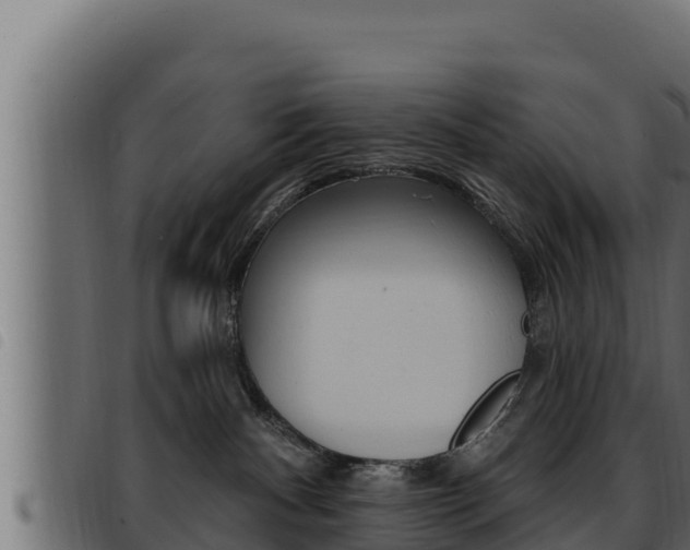 X0000093470140200710121018