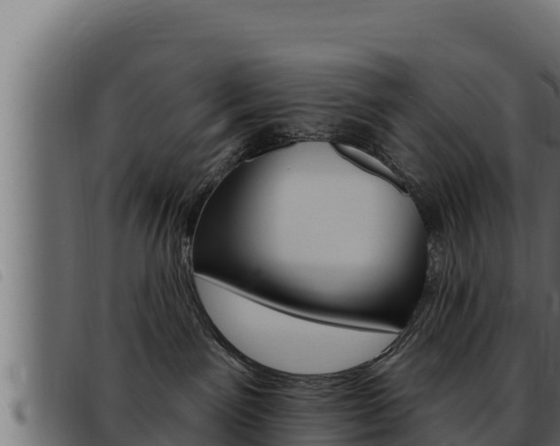 X0000093470141200710121018