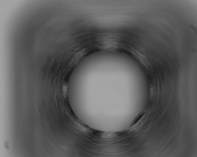 X0000093470142200710121018