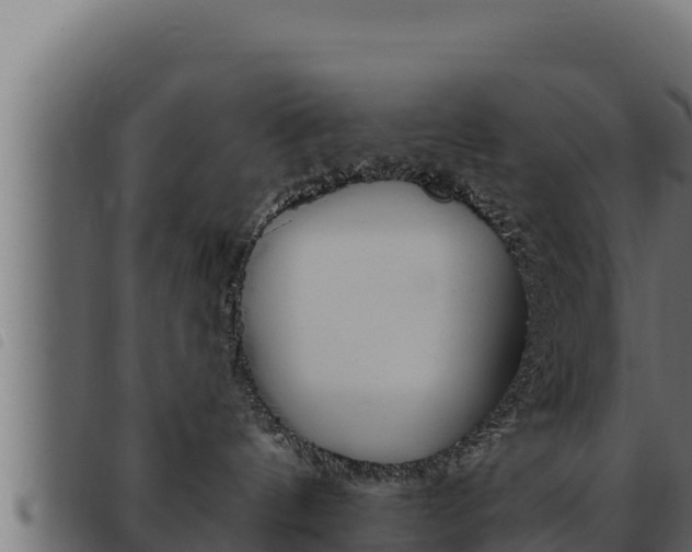 X0000093470144200710121018