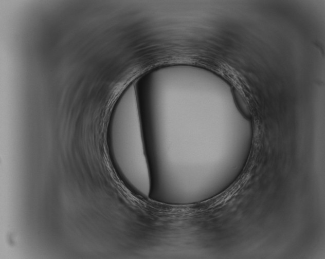 X0000093470145200710121018