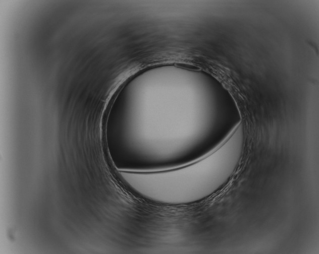 X0000093470148200710121018
