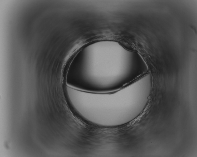 X0000093470150200710121018