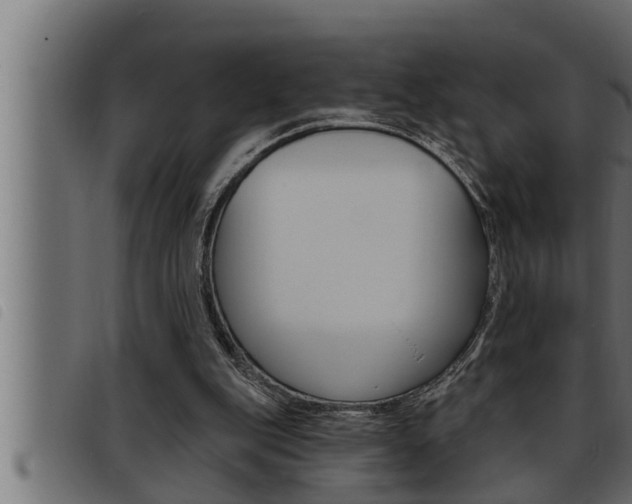 X0000093470151200710121018