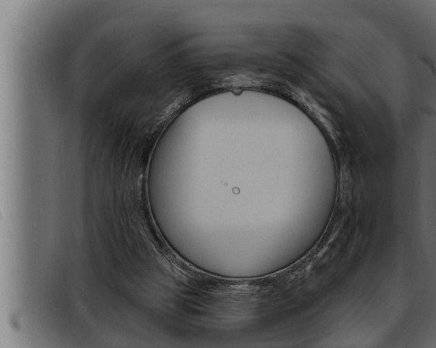 X0000093470153200710121018
