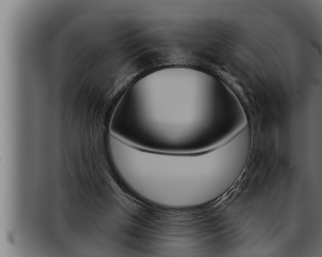 X0000093470154200710121018