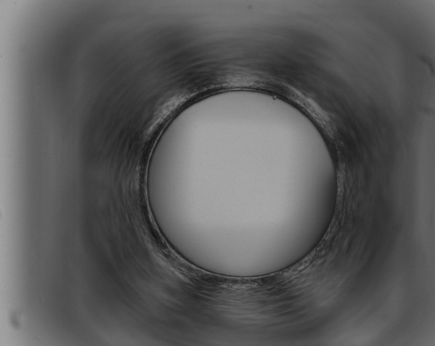 X0000093470155200710121018