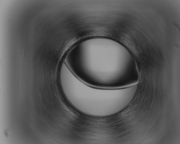 X0000093470156200710121018
