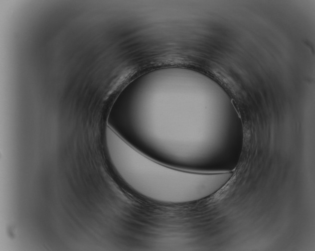 X0000093470158200710121018