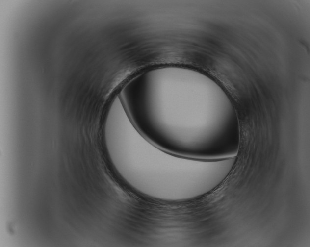 X0000093470160200710121018