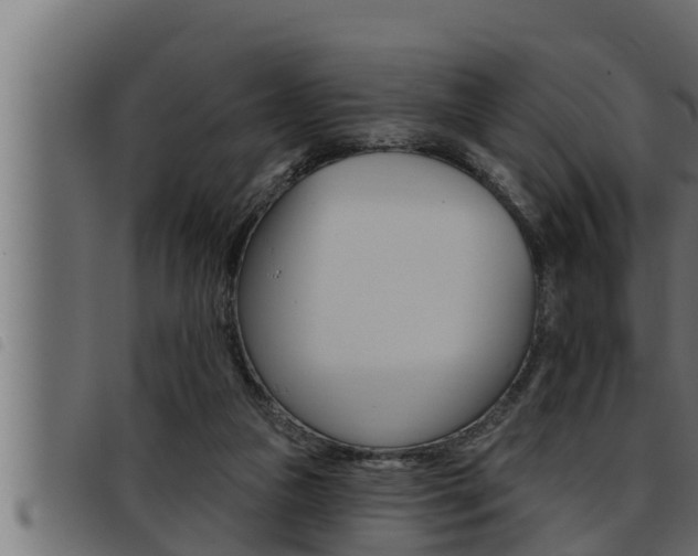 X0000093470161200710121018