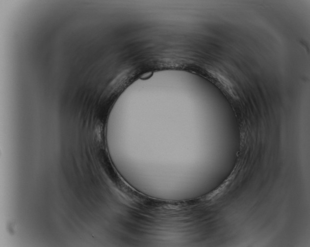 X0000093470166200710121018