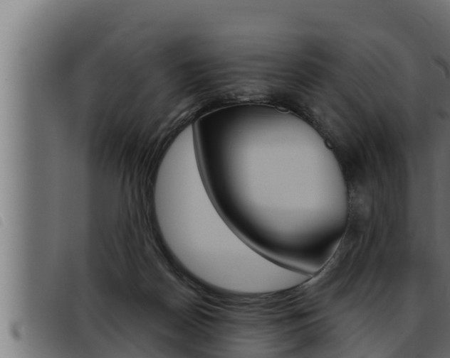 X0000093470170200710121018