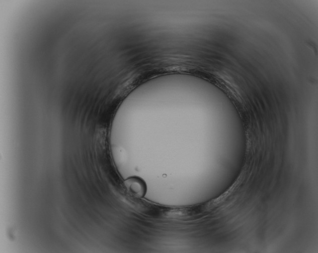 X0000093470171200710121018