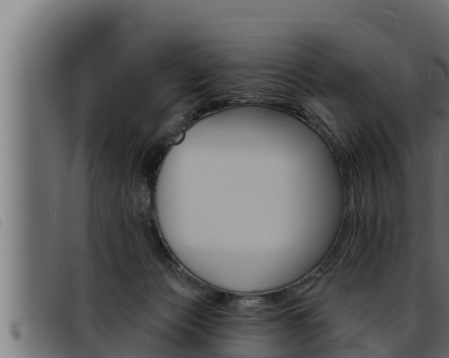 X0000093470173200710121018