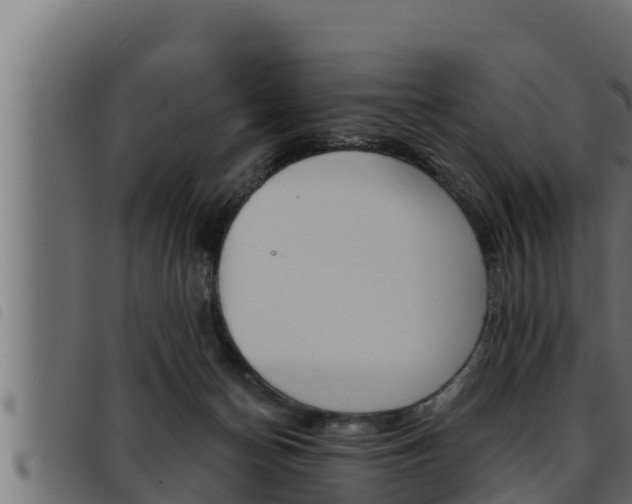 X0000093470174200710121018