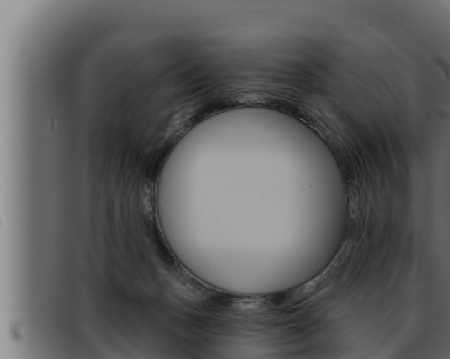 X0000093470175200710121018