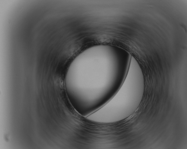 X0000093470176200710121018