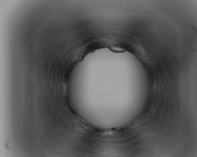 X0000093470177200710121018