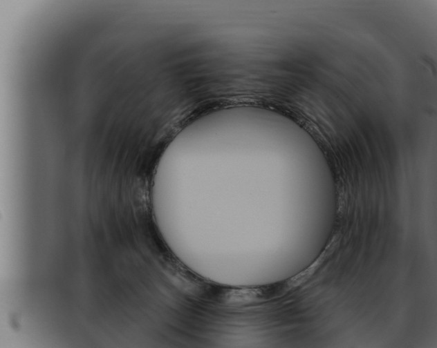 X0000093470179200710121018