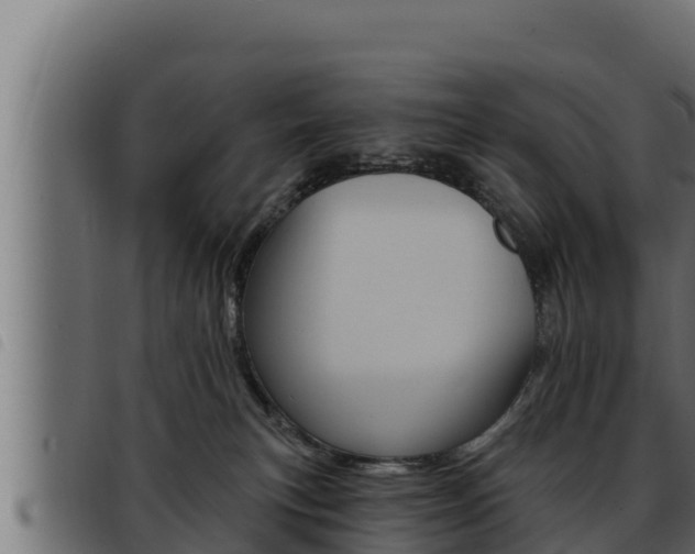 X0000093470183200710121018