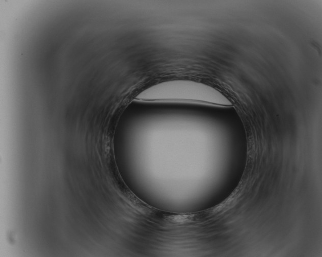 X0000093470184200710121018
