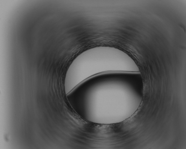X0000093470186200710121018