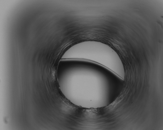 X0000093470188200710121018