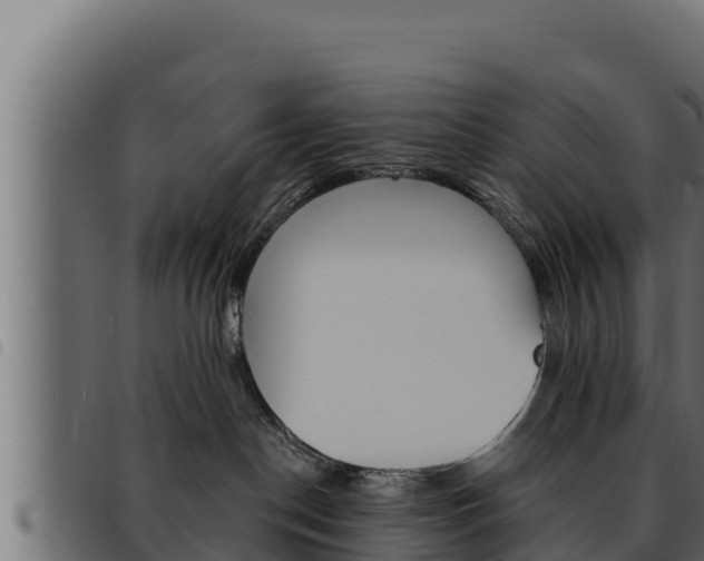 X0000093470190200710121018