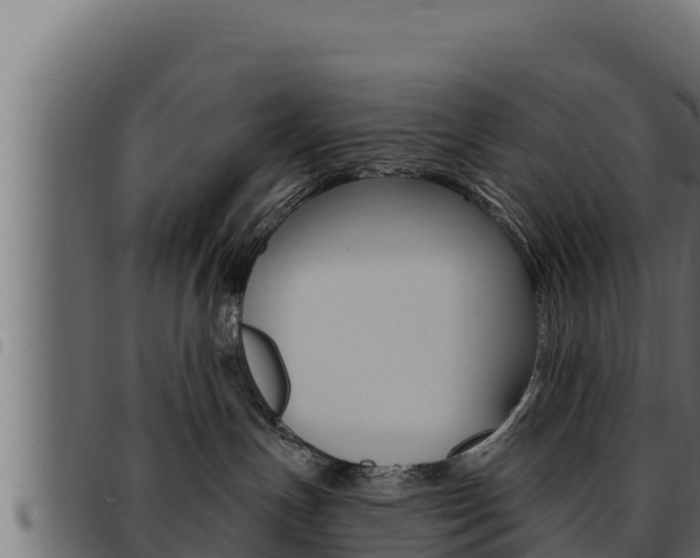 X0000093470191200710121018