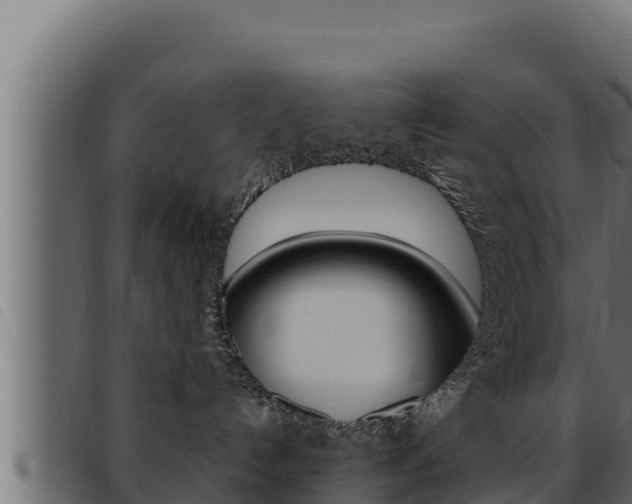 X0000093470192200710121018