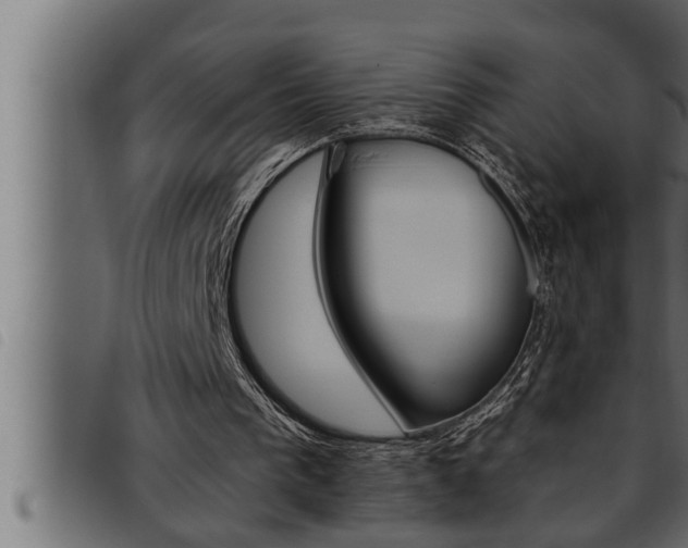 X0000093470193200710121018