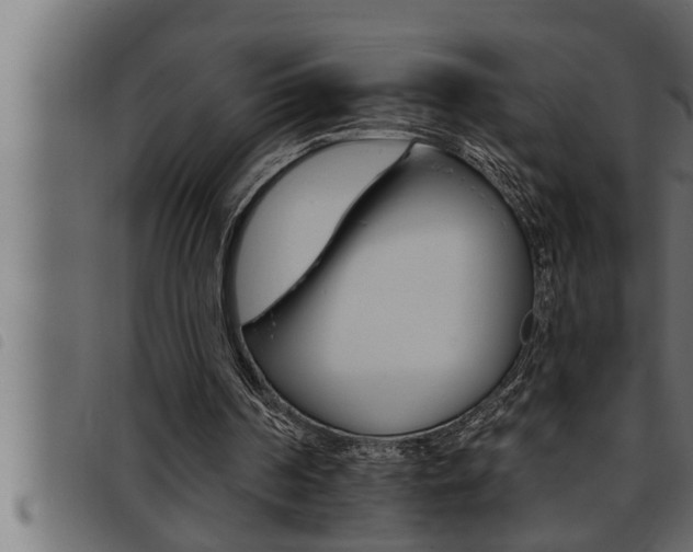 X0000093470194200710121018