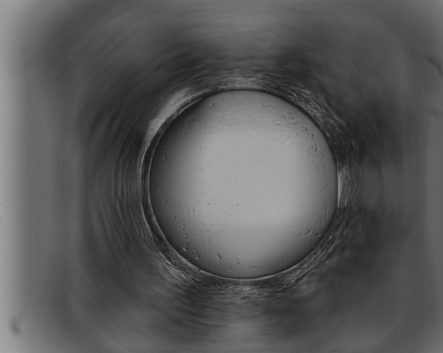 X0000093470195200710121018