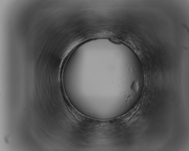 X0000093470196200710121018