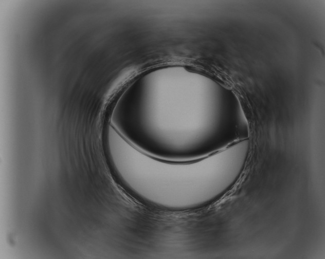 X0000093470197200710121018
