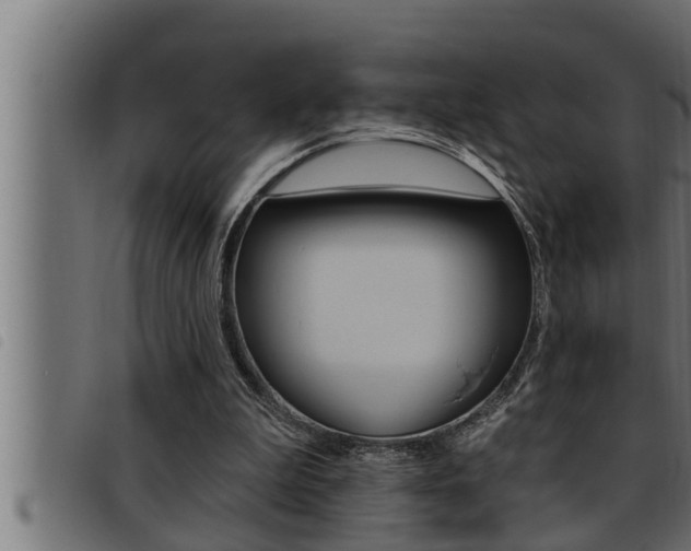 X0000093470199200710121018
