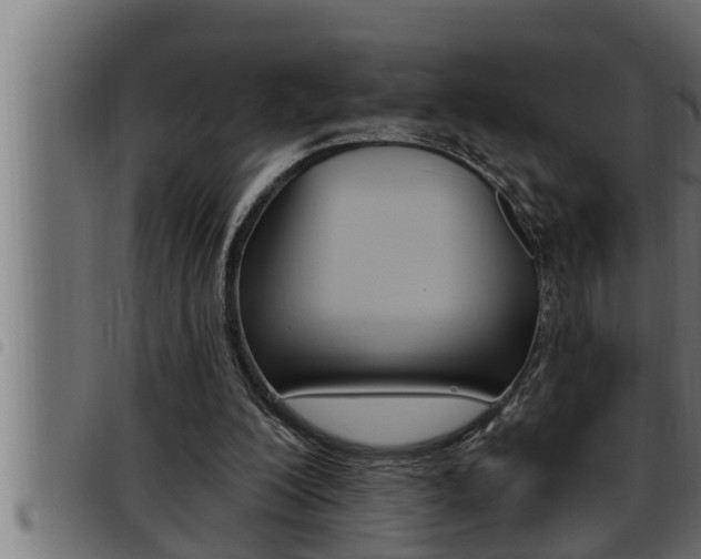 X0000093470200200710121018