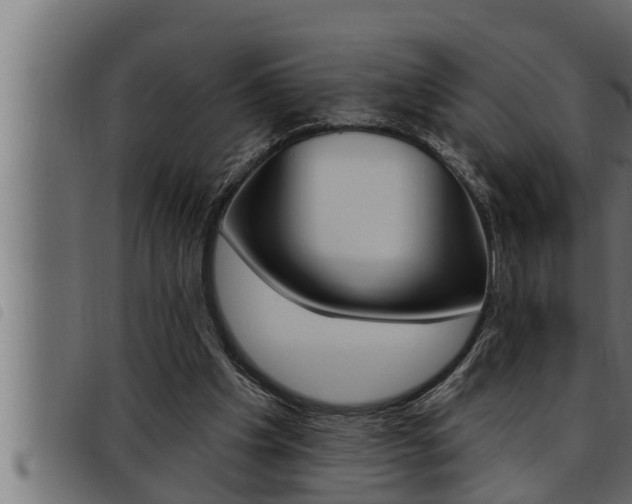 X0000093470201200710121018