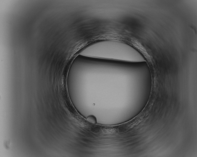 X0000093470202200710121018